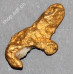 Gold nugget 0,545 oz with encrusted quartz