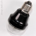 Osram ampoule-veilleuse originale en très bon état