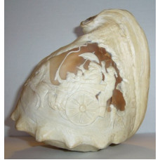 Finely carved cameo on a horned helmet conch, late 18th c.